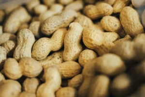 Agriculture au Sénégal : filières, cultures et défis climatiques en 2026