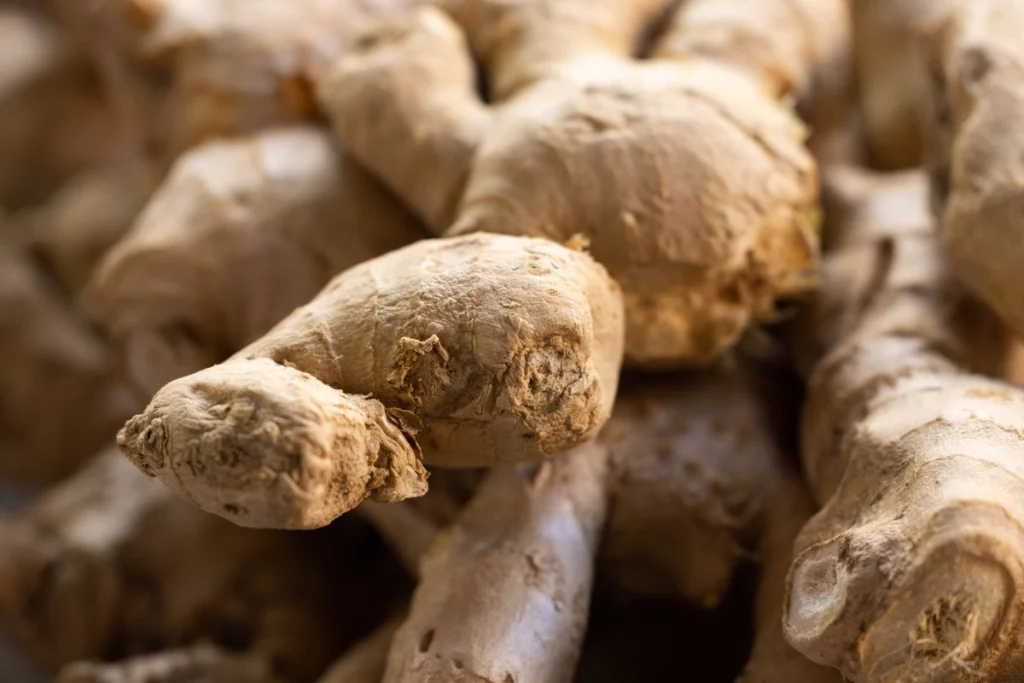 Ginger Farming in Côte d’Ivoire and Africa: Complete 2026 Guide