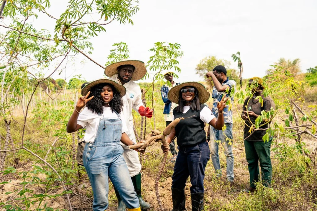 Groupe de producteurs debout dans une parcelle de manioc en Afrique