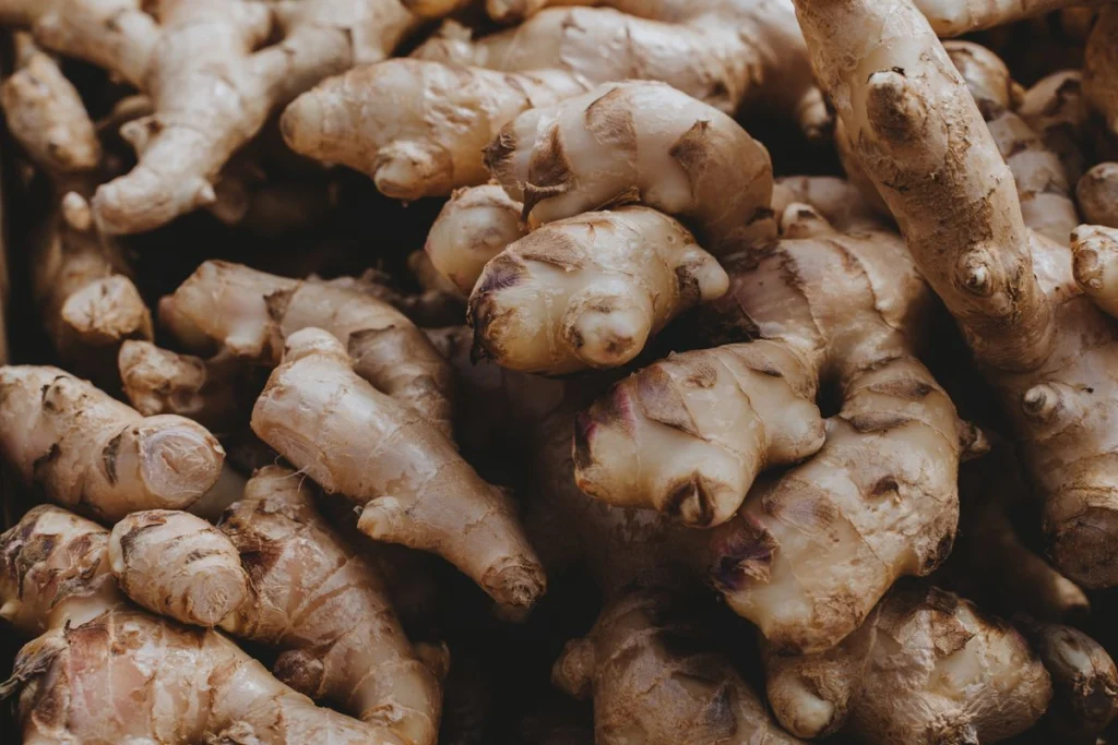 Ginger Farming in Côte d’Ivoire and Africa: Complete 2026 Guide