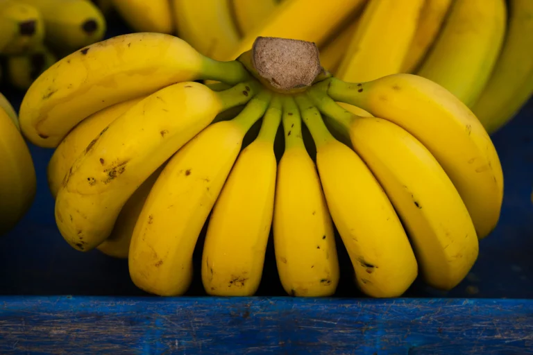 Plantain vs banana: differences, nutrition and how to tell them apart