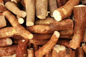 Farine de manioc : guide complet de la production, des usages et de la pâtisserie 2026