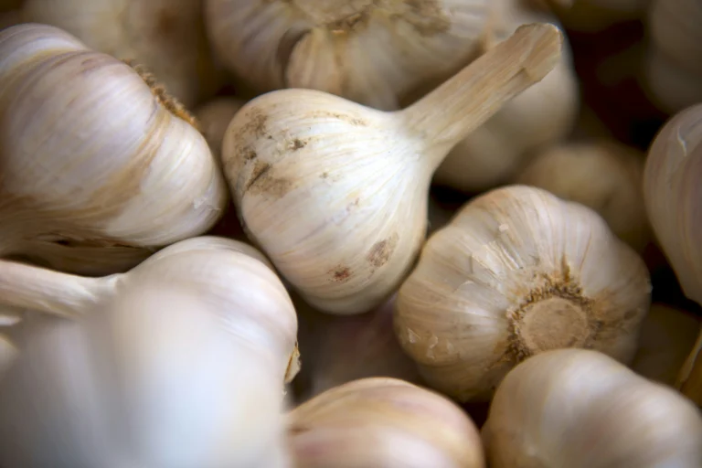 How to grow garlic: complete step-by-step guide for 2026