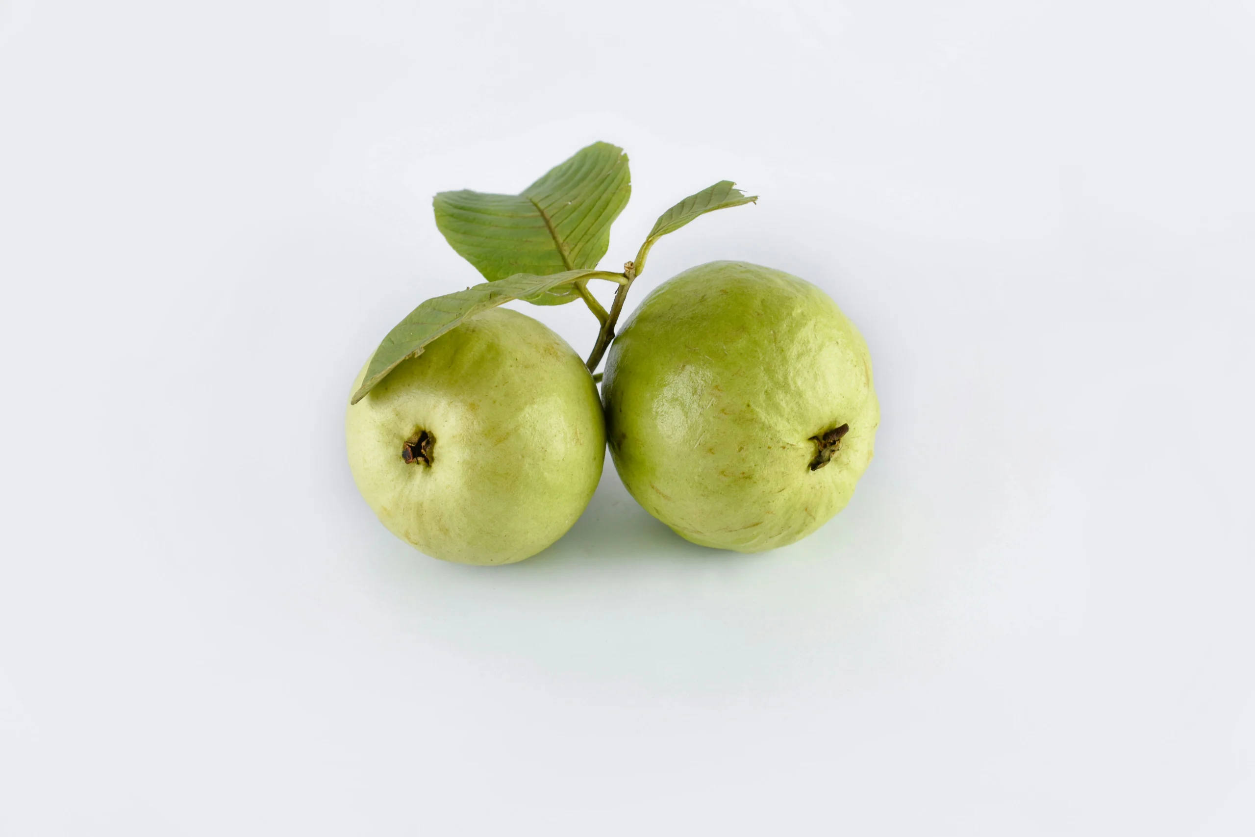 Fresh whole guava fruit with green skin, the main ingredient for making homemade guava juice