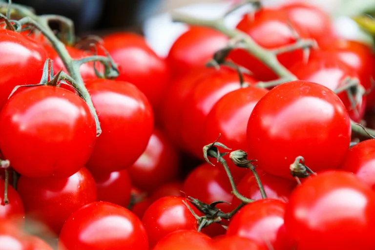 How to grow tomatoes in pots: complete container guide 2026