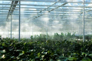 Serres agricoles en Afrique tropicale : bien choisir son abri en 2026