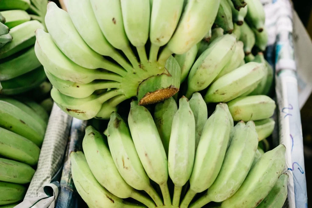 Banane plantain ou banane : différences, nutrition et comment les distinguer