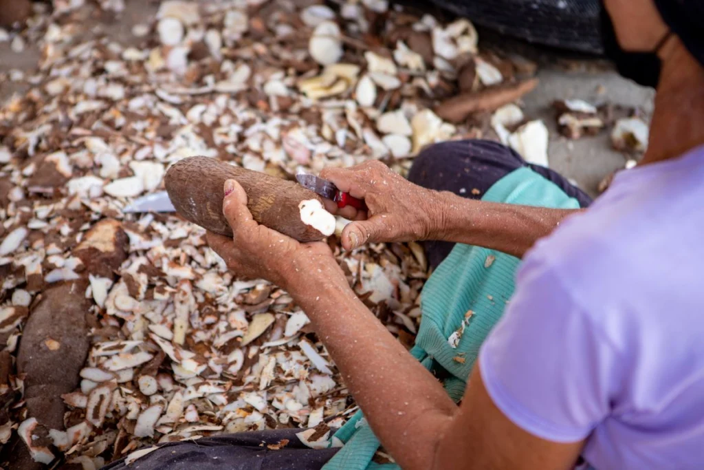 Farine de manioc : guide complet de la production, des usages et de la pâtisserie 2026