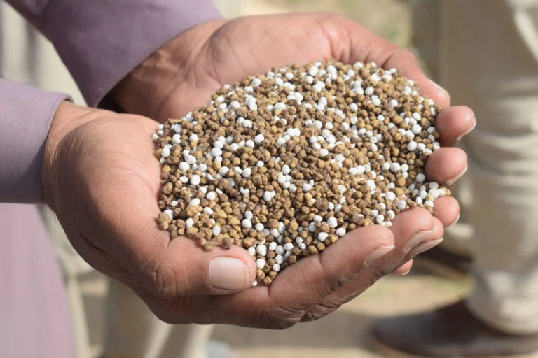 NPK 15-15-15 Fertiliser: Rates by Crop and Application Schedule