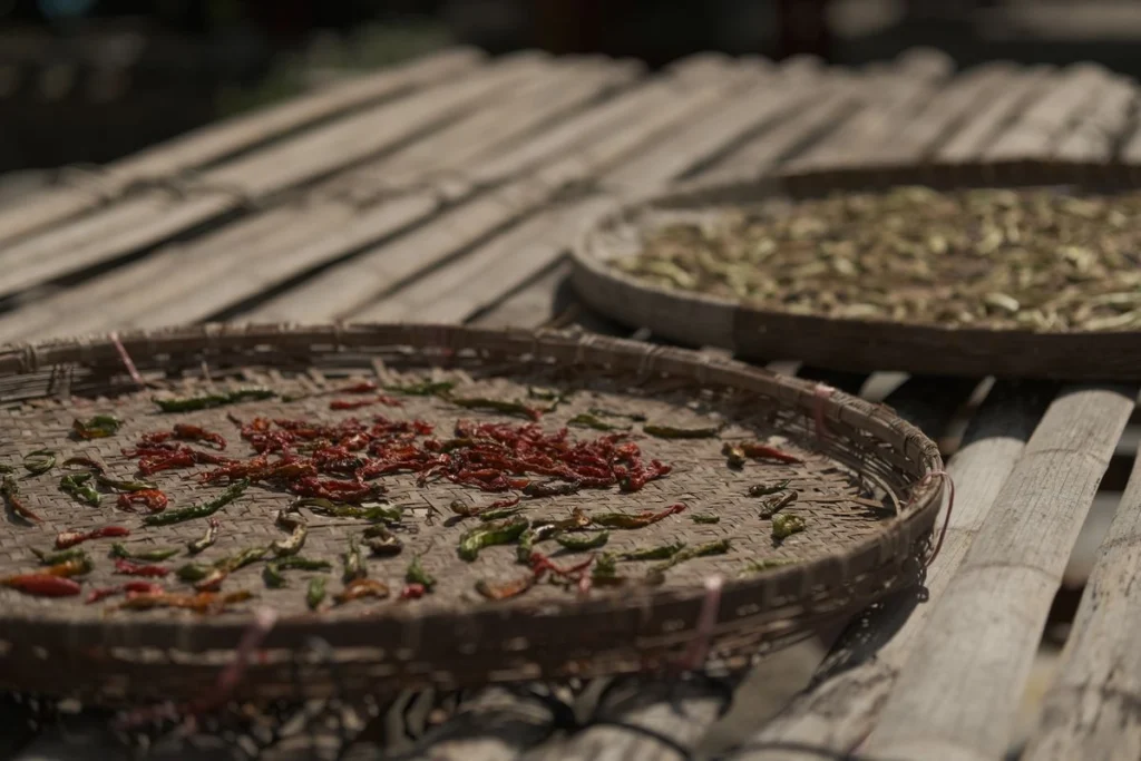 Piments rouges mis à sécher dans des paniers en vannerie