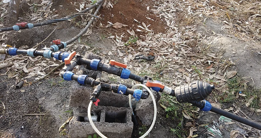 Installing a drip irrigation network on a farm