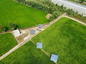 Pompe solaire ou motopompe : dimensionner le pompage d’une parcelle d’oignon