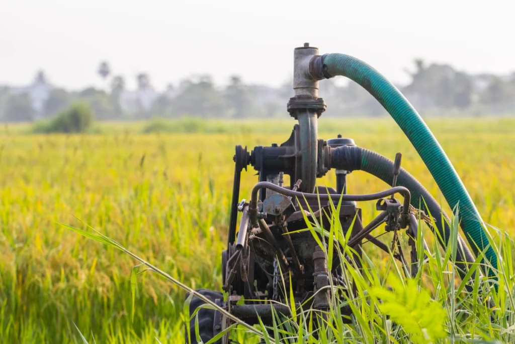 Pompe d'irrigation et son tuyau installés au bord d'une parcelle cultivée