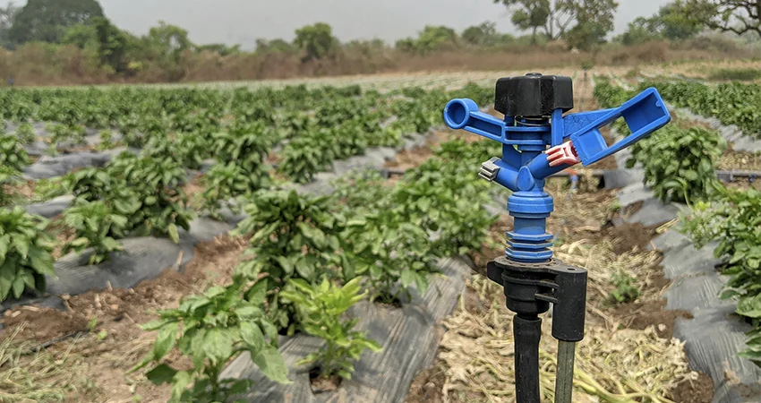 Asperseur d'irrigation en fonctionnement au champ